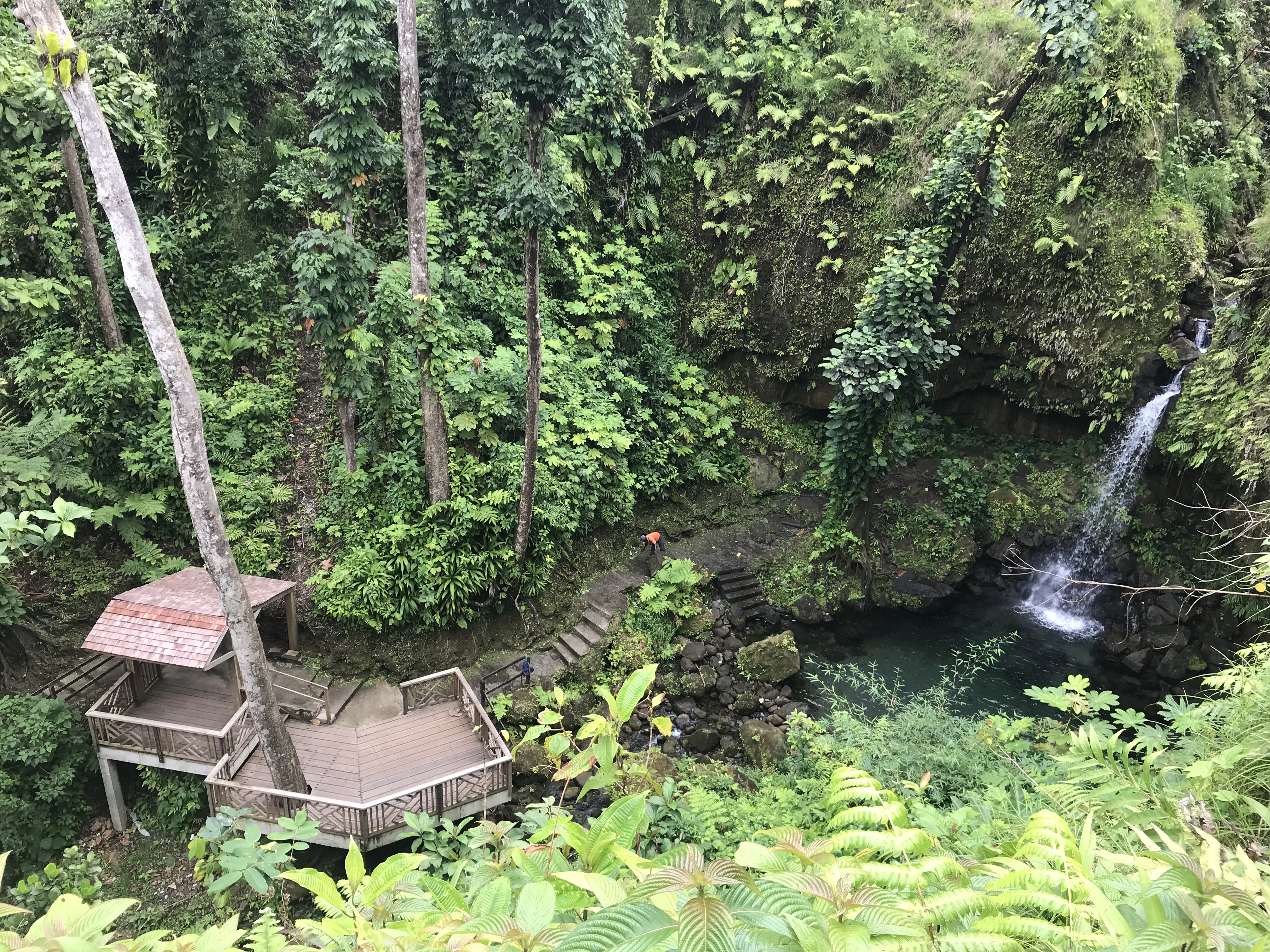 Dominica